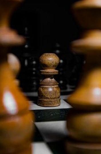 giấy phép Sodo